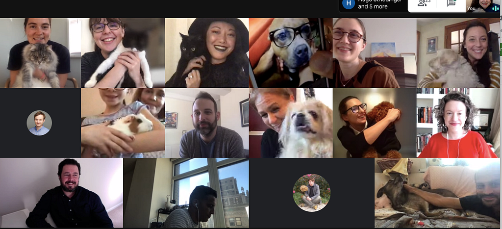 Video meeting with people holding up their pets dressed in Halloween costumes