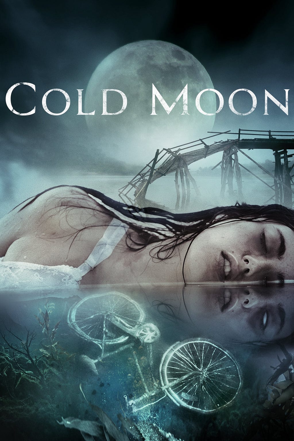 Cold Moon (2016) | Poster