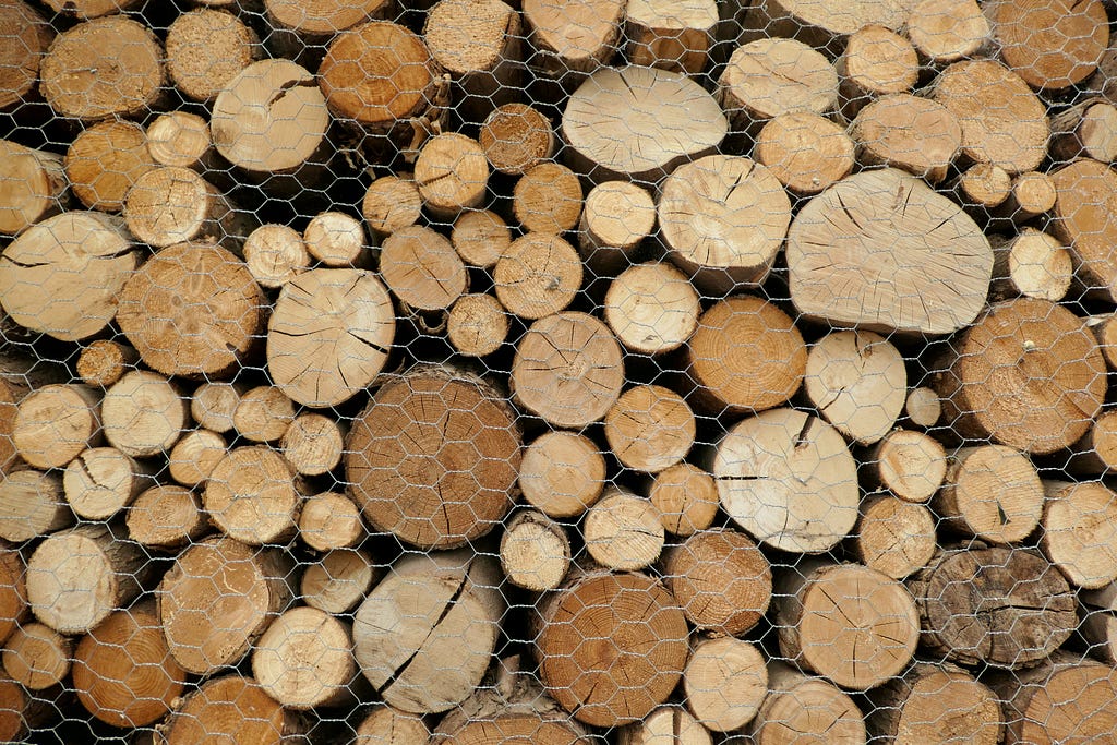 Photo of the end of a pile of cut trees in various round shapes and sizes behind chicken wire.