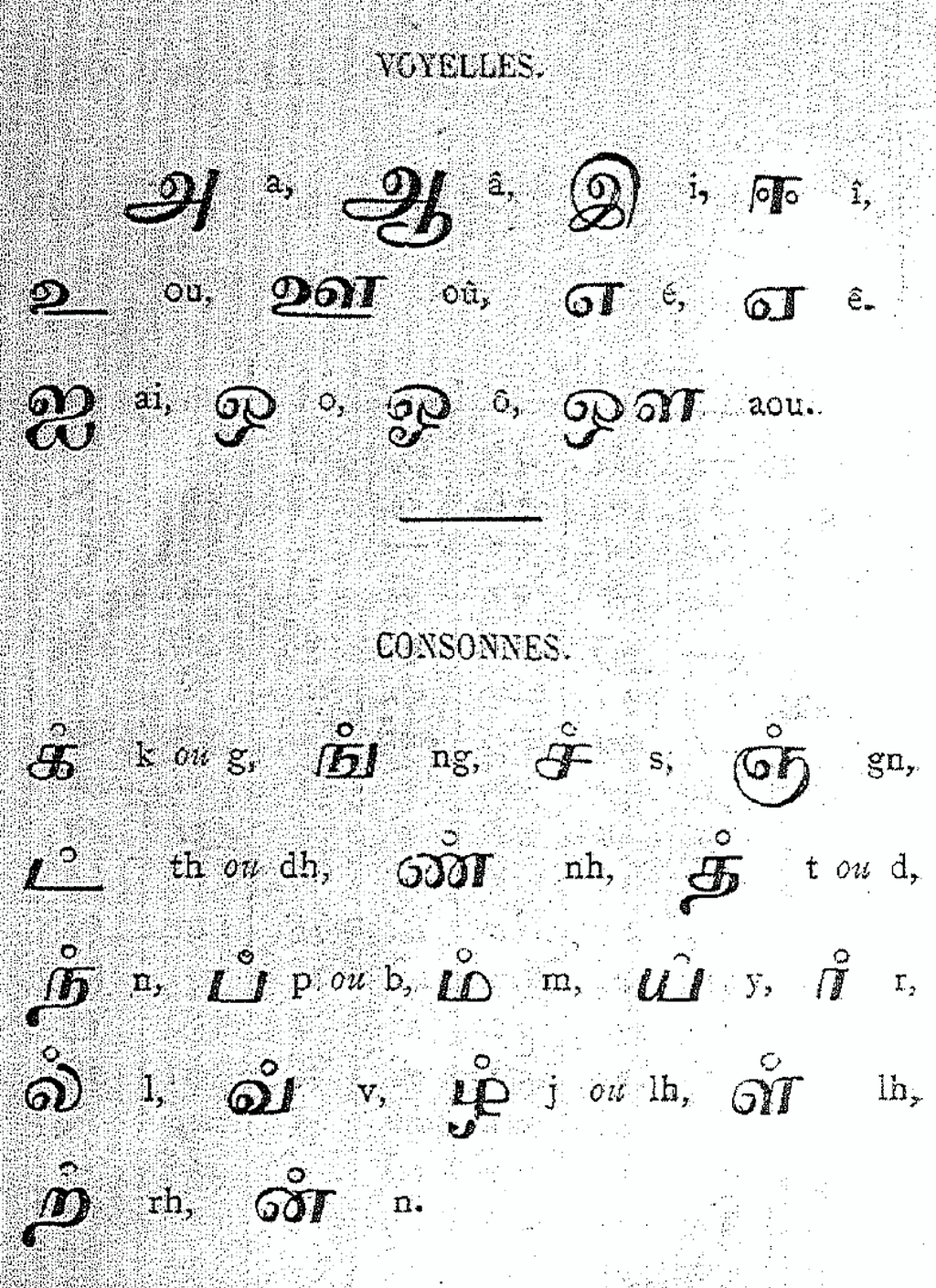 A historical linguistic chart displaying Tamil vowels and consonants with their phonetic transcriptions in French. The script is printed in a stylized font, showing pronunciation guides for Tamil characters.