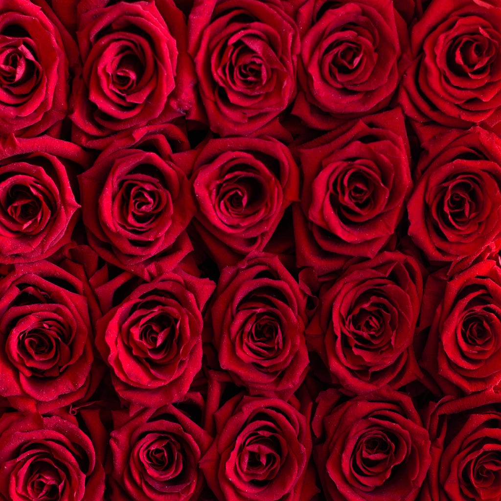 Wall of coiled red roses arranged in a pattern.