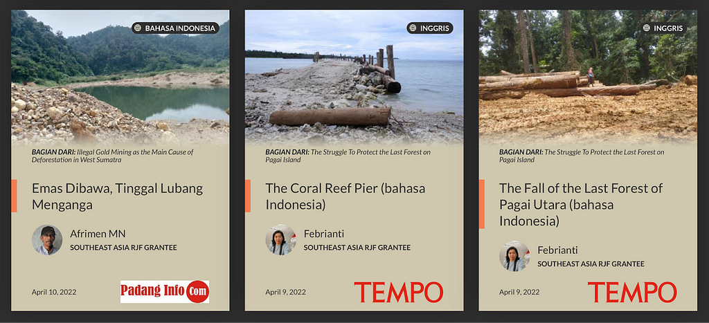 Three story cards on the Rainforest Journalism Fund website written in Indonesian. Each story card features a language indictator in the top right corner.