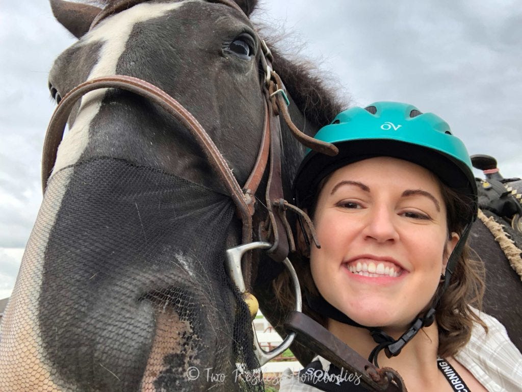 World's best horse selfie with Panda Paws from Painted Bar Stables