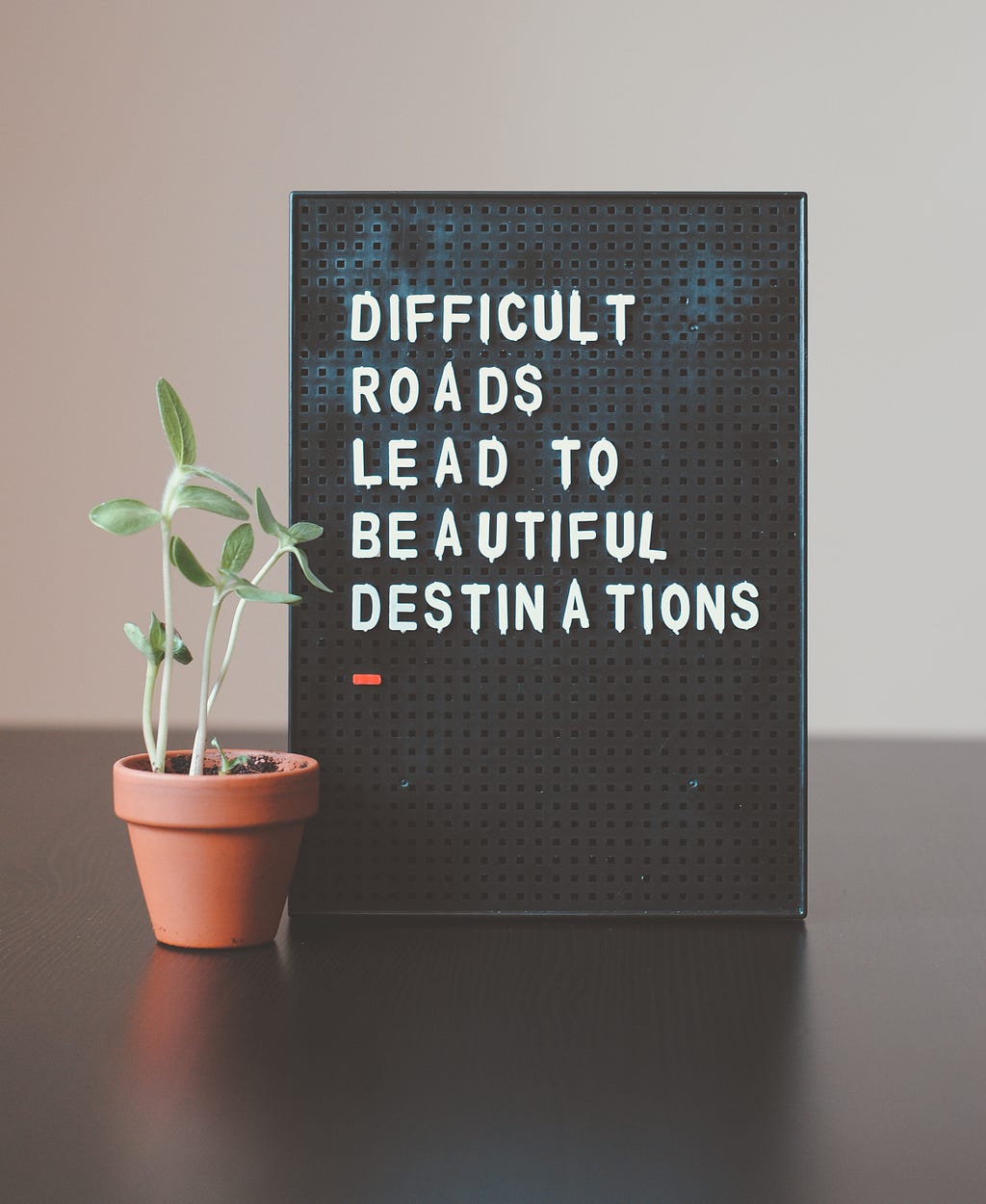A potted plant beside a sign that reads, “Difficult roads lead to beautiful destinations.