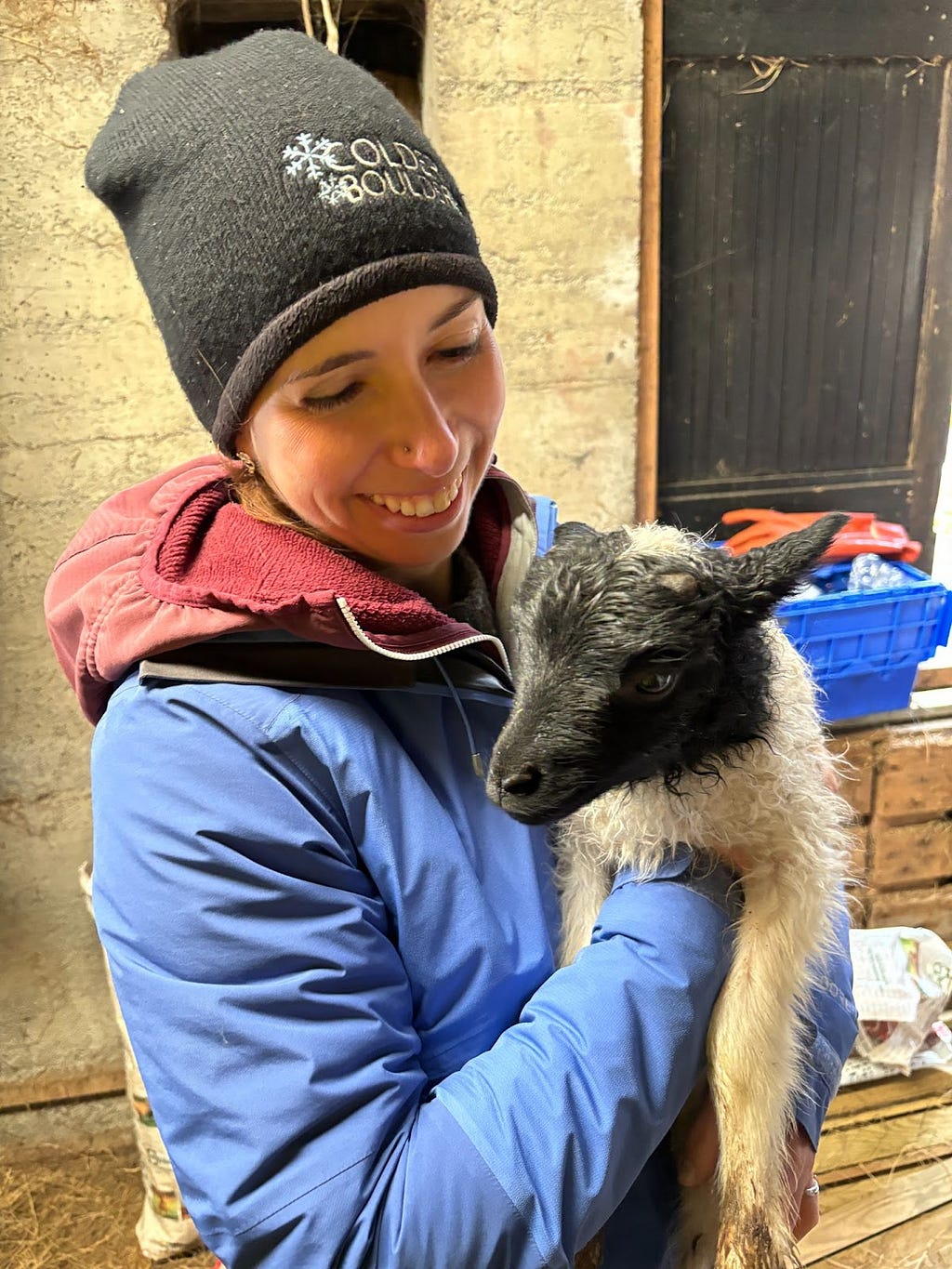 The author with a lamb who was born only a few hours previously. Photo credit: Forrest Collman