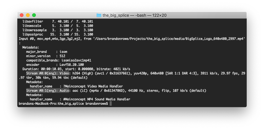 Terminal window showing FFprobe data from video file