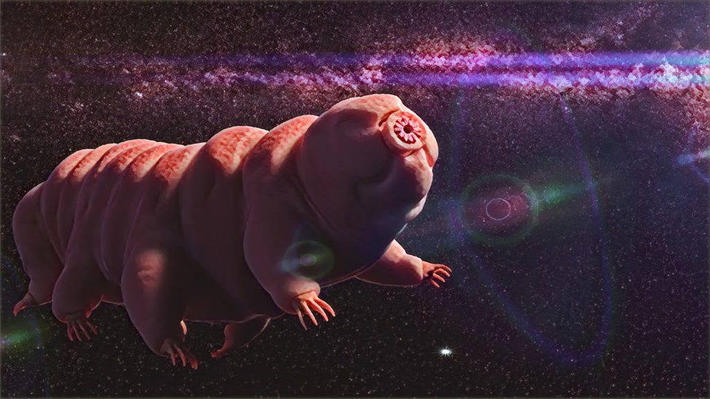 A Tardigrade travelling through space