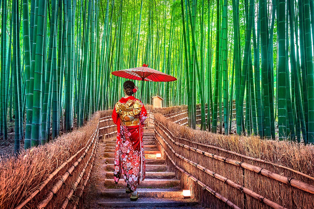 Sagano Bamboo Forest