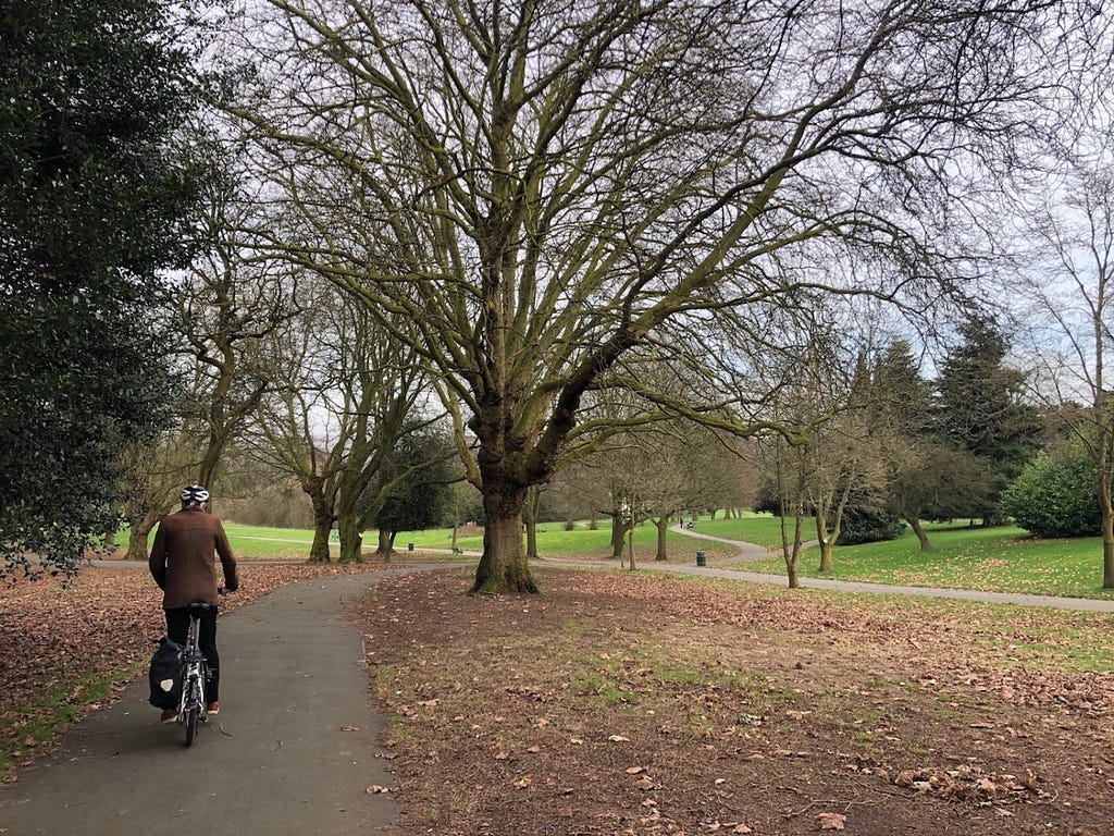 Person cycling through a park on a grey autumn day, trees are bare and leaves are on the ground