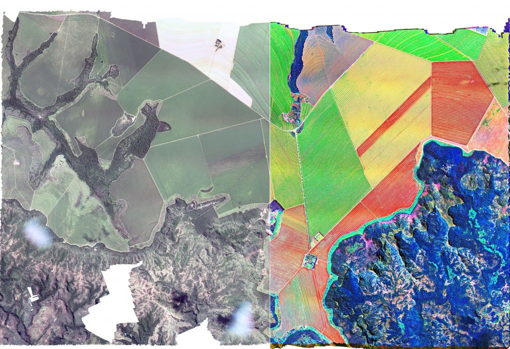 Multispectral vs Hyperspectral in agriculture