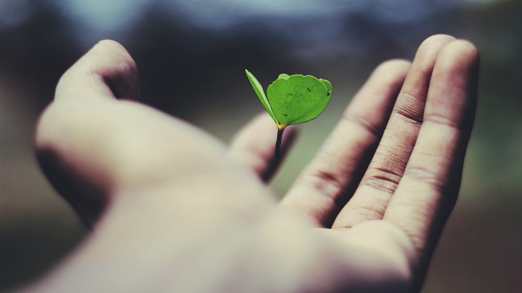 A leaf on an outstretched hand.