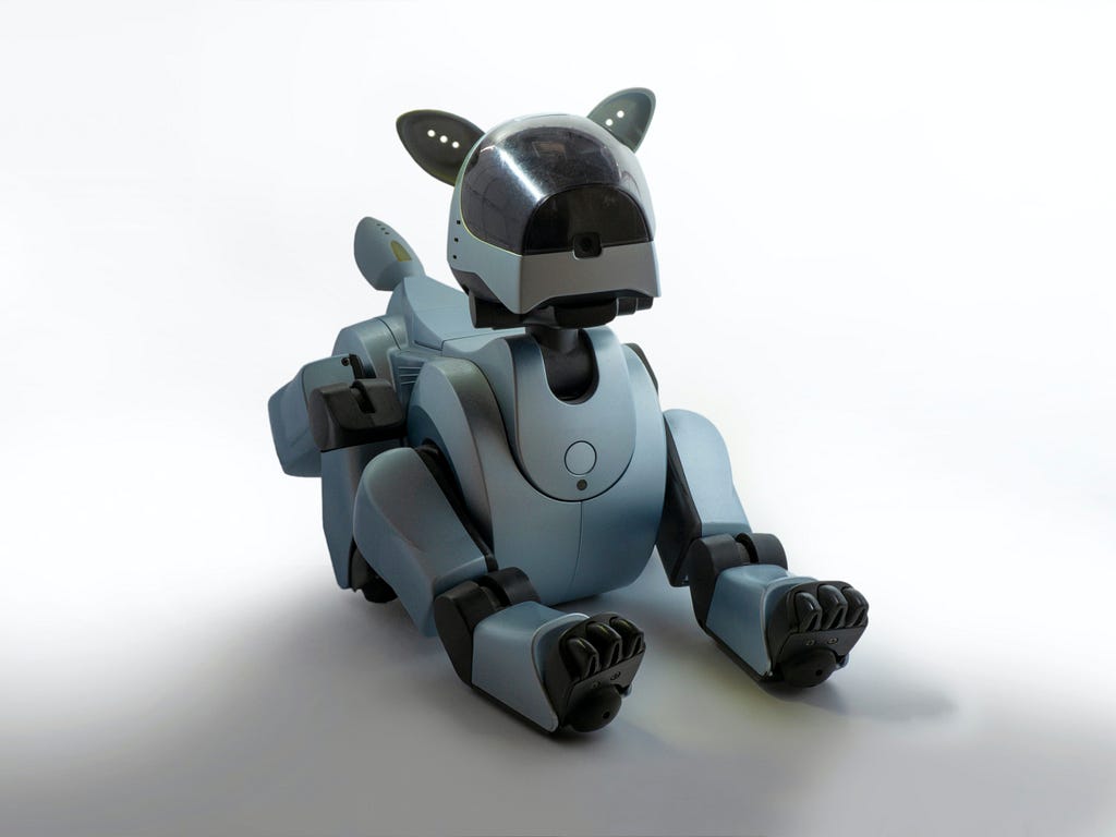 A model (i.e. robotic dog) undergoing training through enriched data.