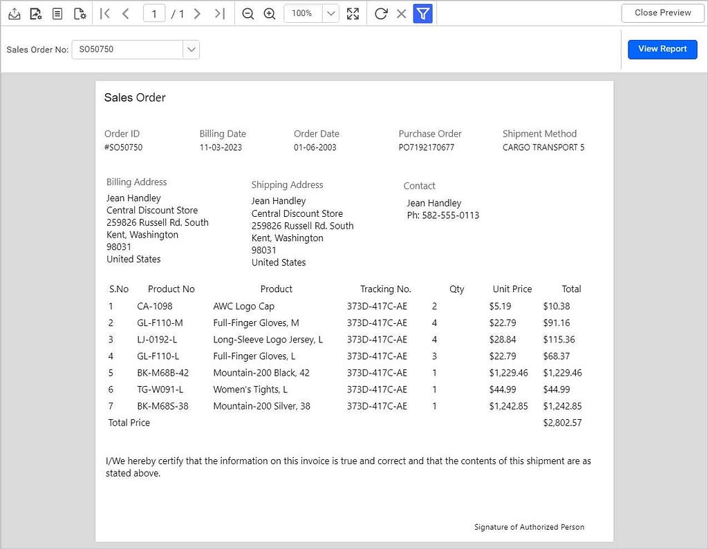 Report page without styles or colors. | Professional Reports