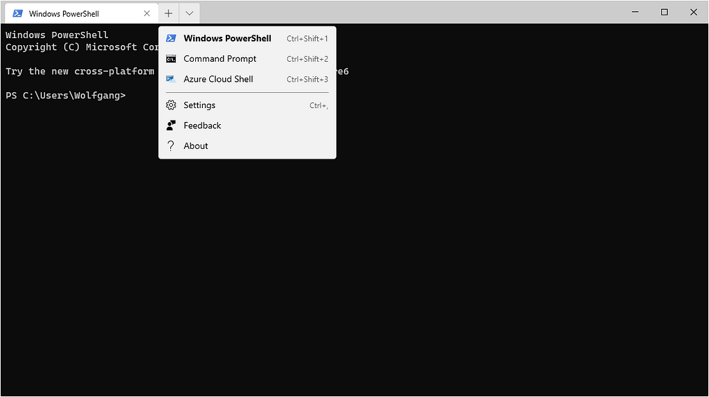 Default Windows Terminal