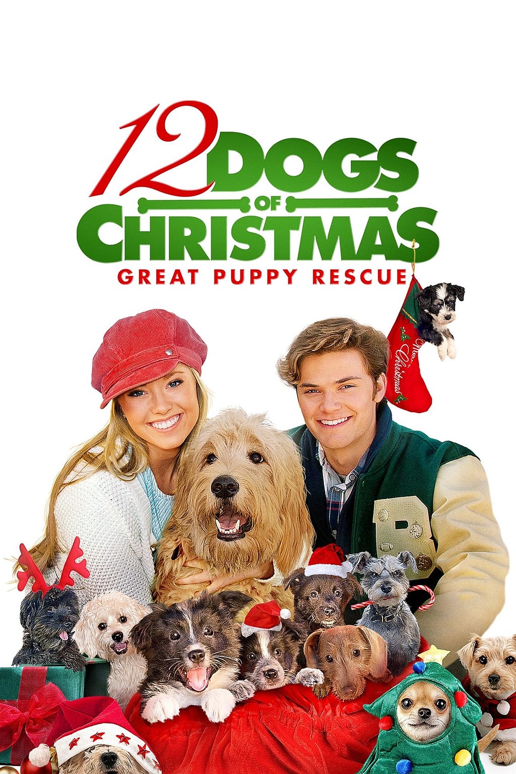 12 Dogs of Christmas: Great Puppy Rescue (2012) | Poster
