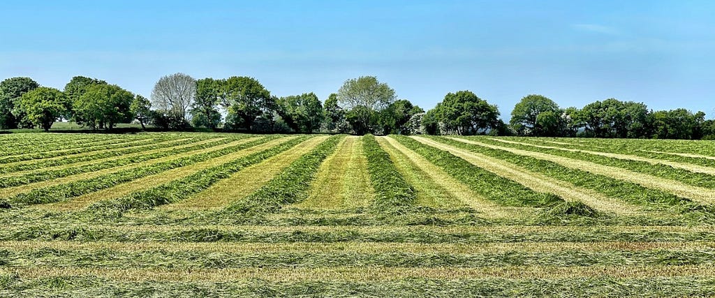 Leveraging Land for Investment Diversification: Igor Shaltanov&#39;s Fund of Funds Strategy and Overcoming Investor Skepticism