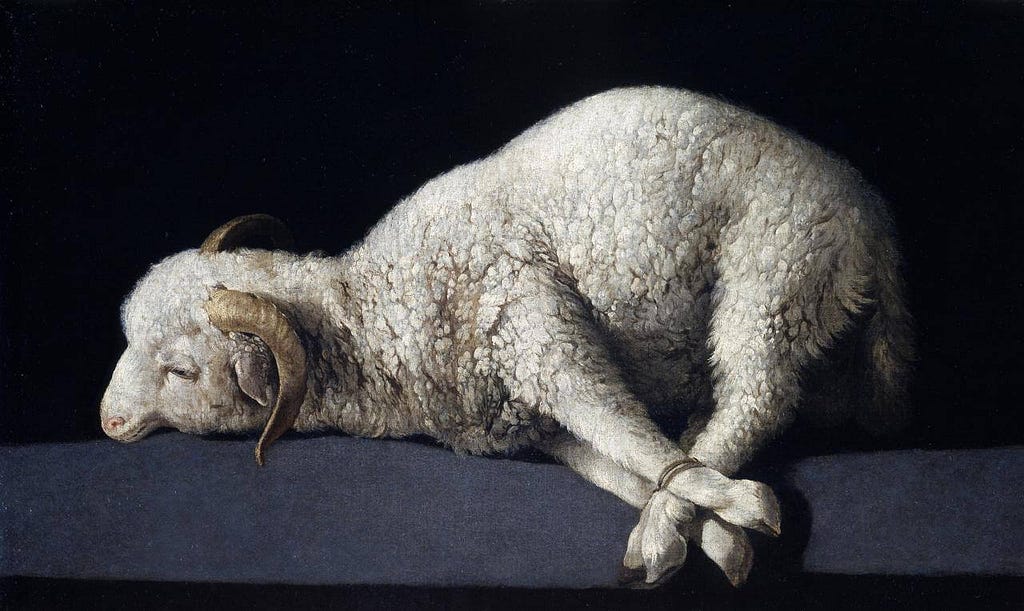 Agnus Dei by Francisco de Zurbaran (1635) — a sacrificial lamb tied up by the legs