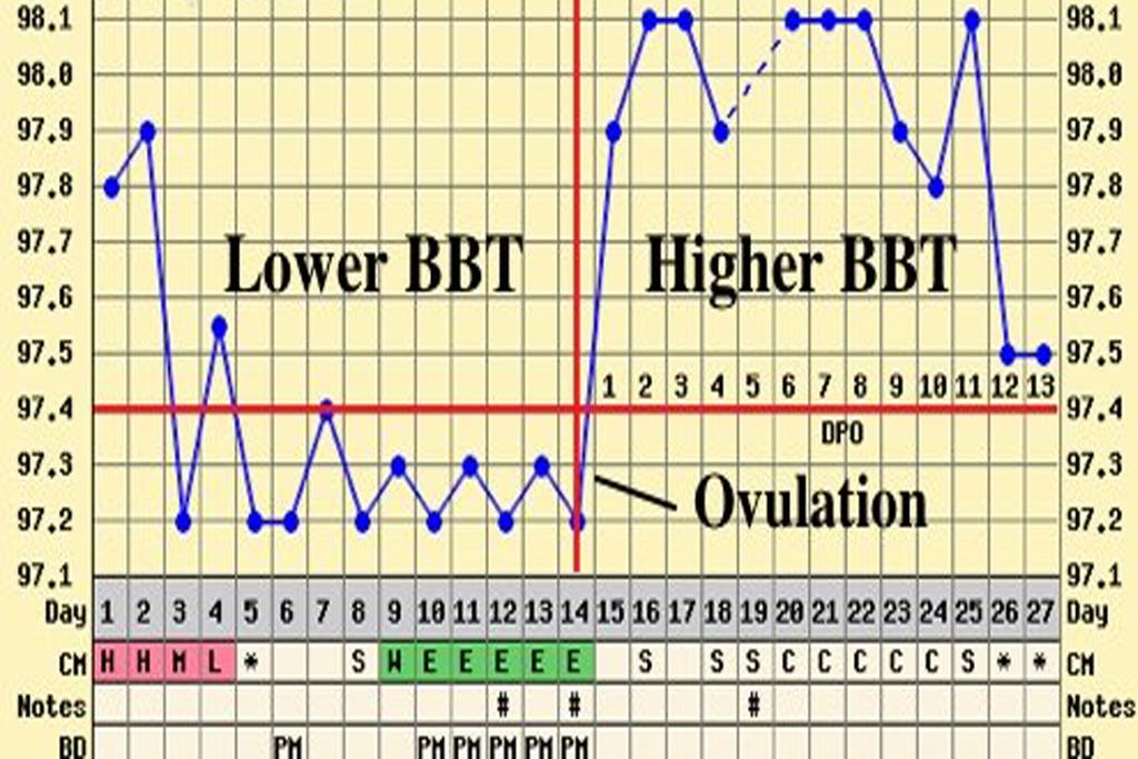 basal body temperature