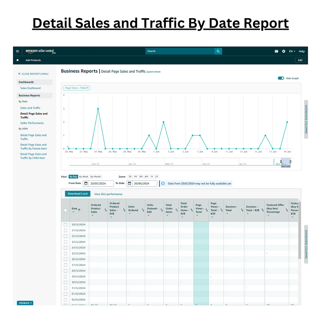 Screenshot of Amazon Detail Page Sales and Traffic by Date report