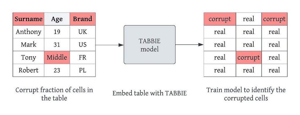 Datuum — The idea behind the TABBIE model is to use semi-supervised training with large amounts of tabular data to get powerful representations of cells, columns and rows.