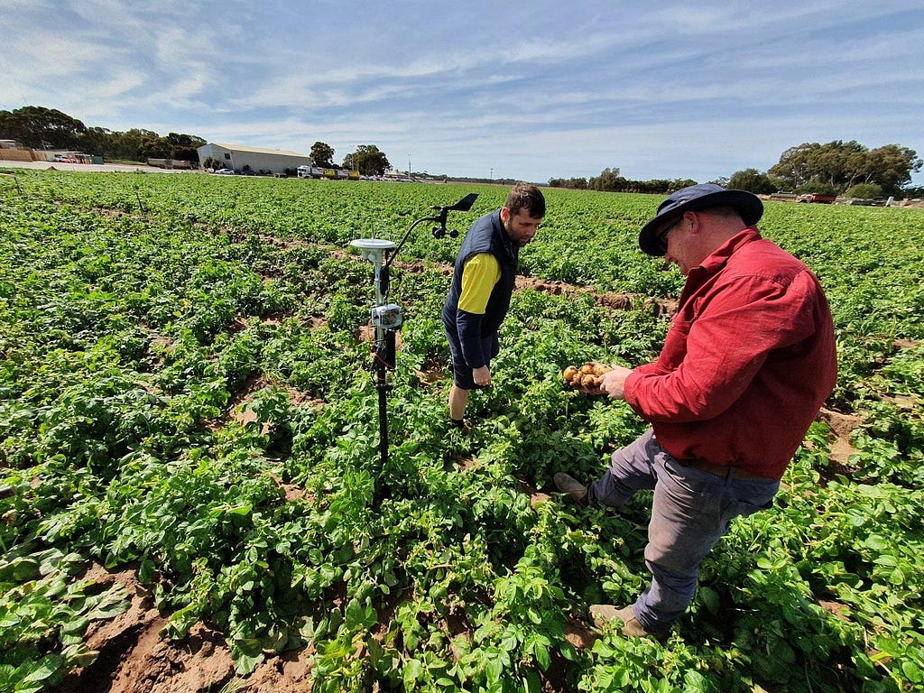 Two people standing in a potato field with an Arable Mark 2 and anemometer.