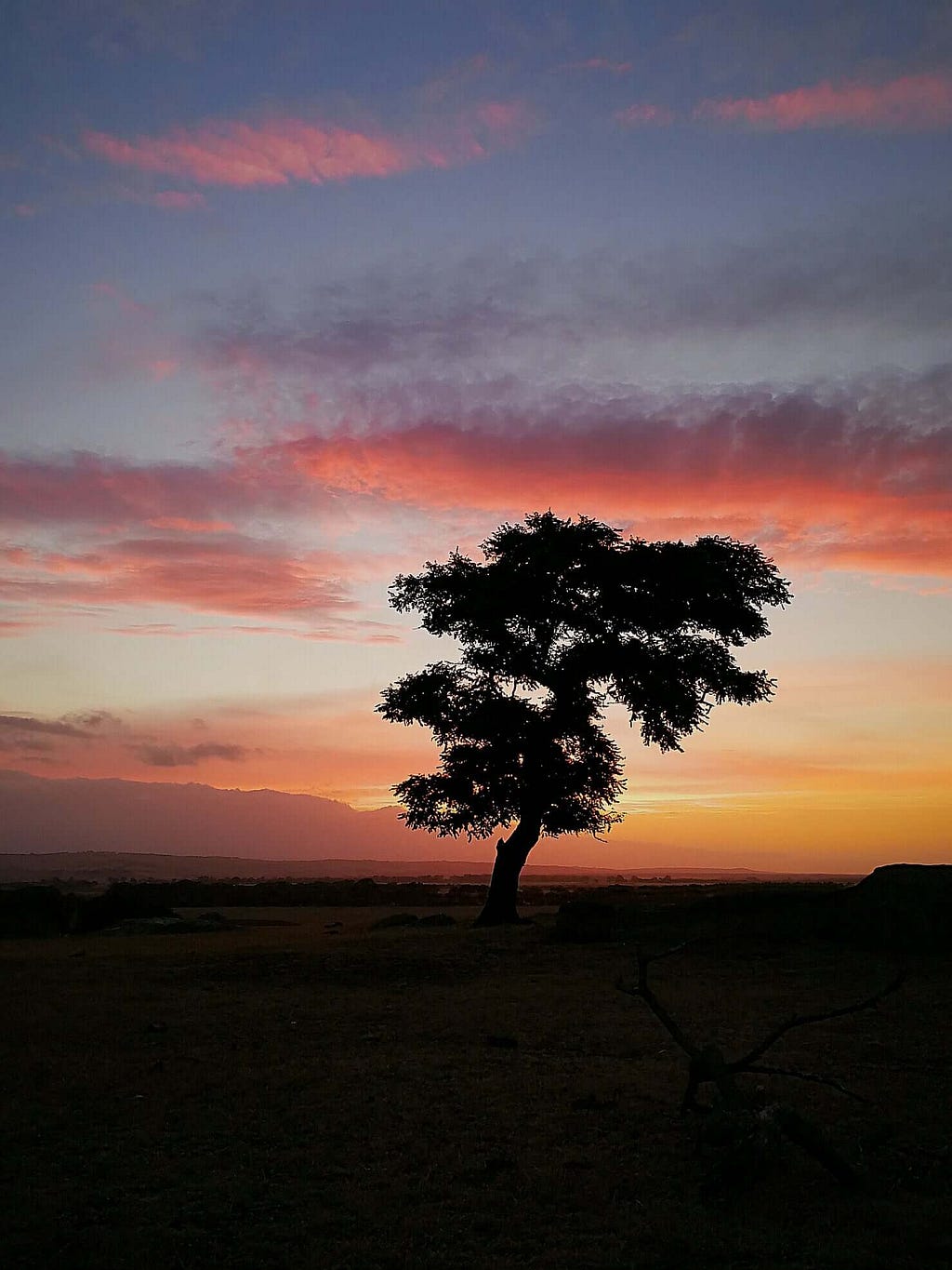 30 tips to create stunning silhouette photos on y9our iphone and smaretphone - camera techniques and tips, location, subject and mobile editing apps and techniques