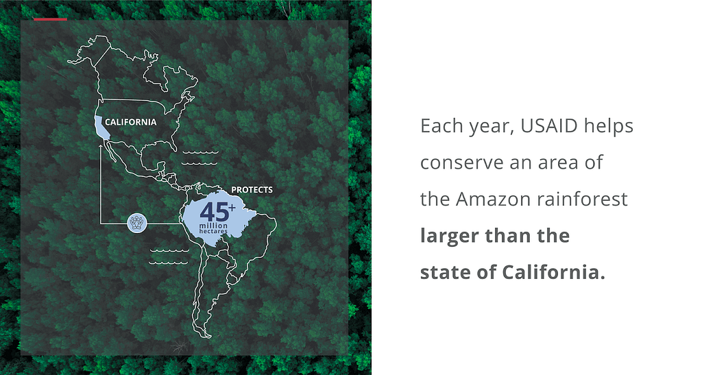 A graphic of North and South America and text that reads “Each year, USAID helps conserve an area of the Amazon rainforest larger than the state of California.”