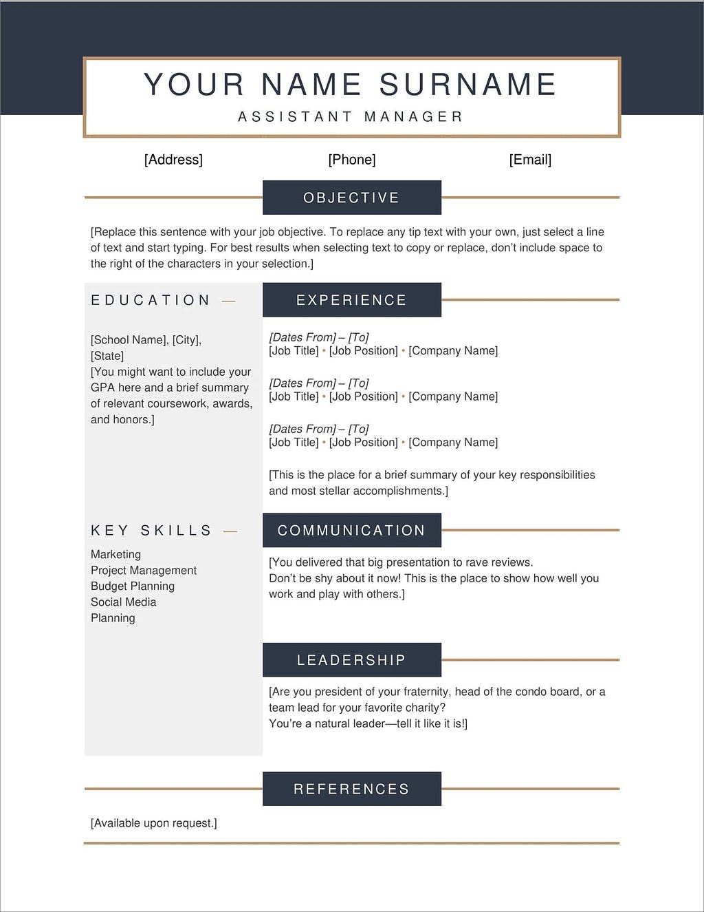 Resume Templates That I Can Copy And Paste