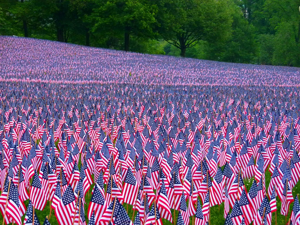 thousands of US flags planted in a field