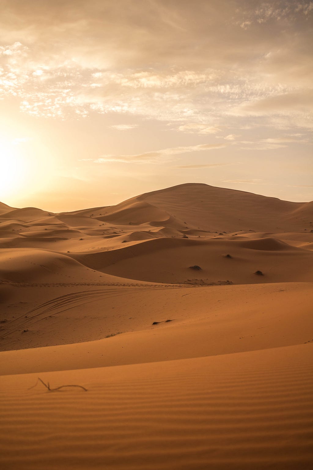 Picture of a desert on a bright and sunny day