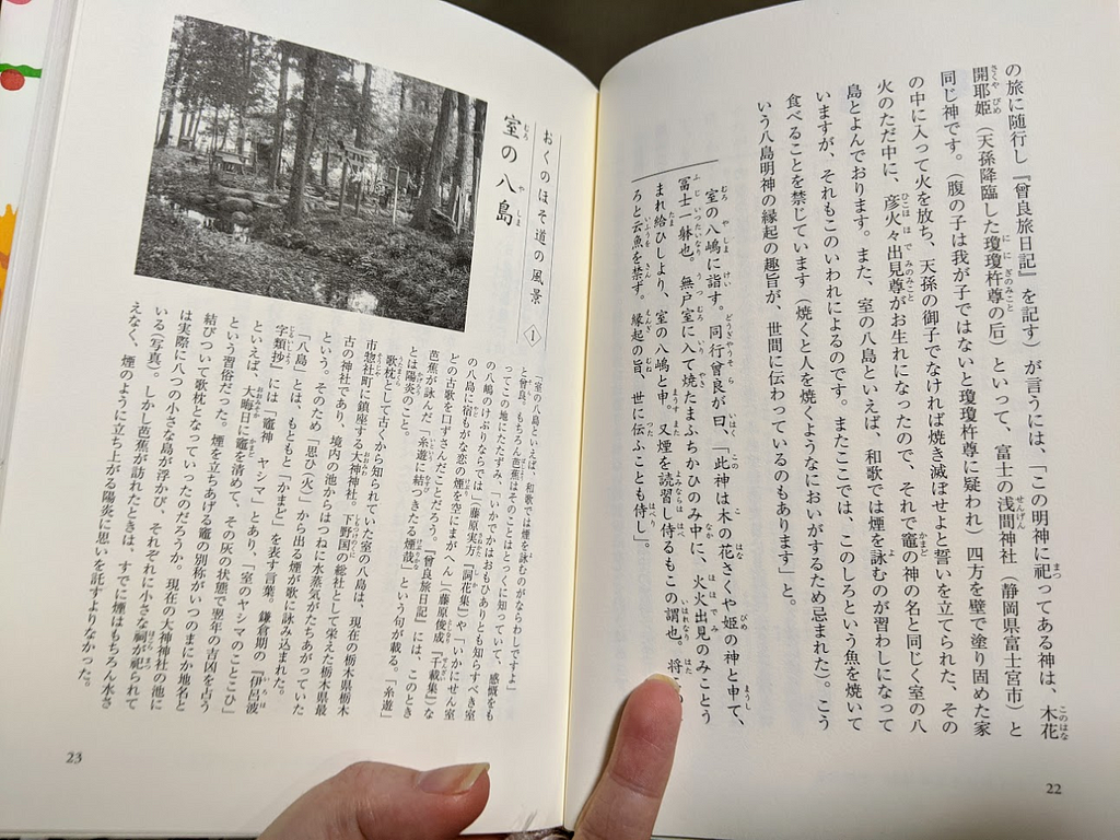 Book with text in Japanese, with vertical lines reading from right to left and “footnotes” on the right side of the page.