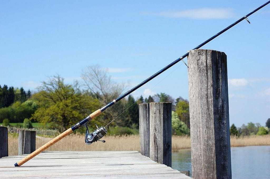 best spinning fishing rods