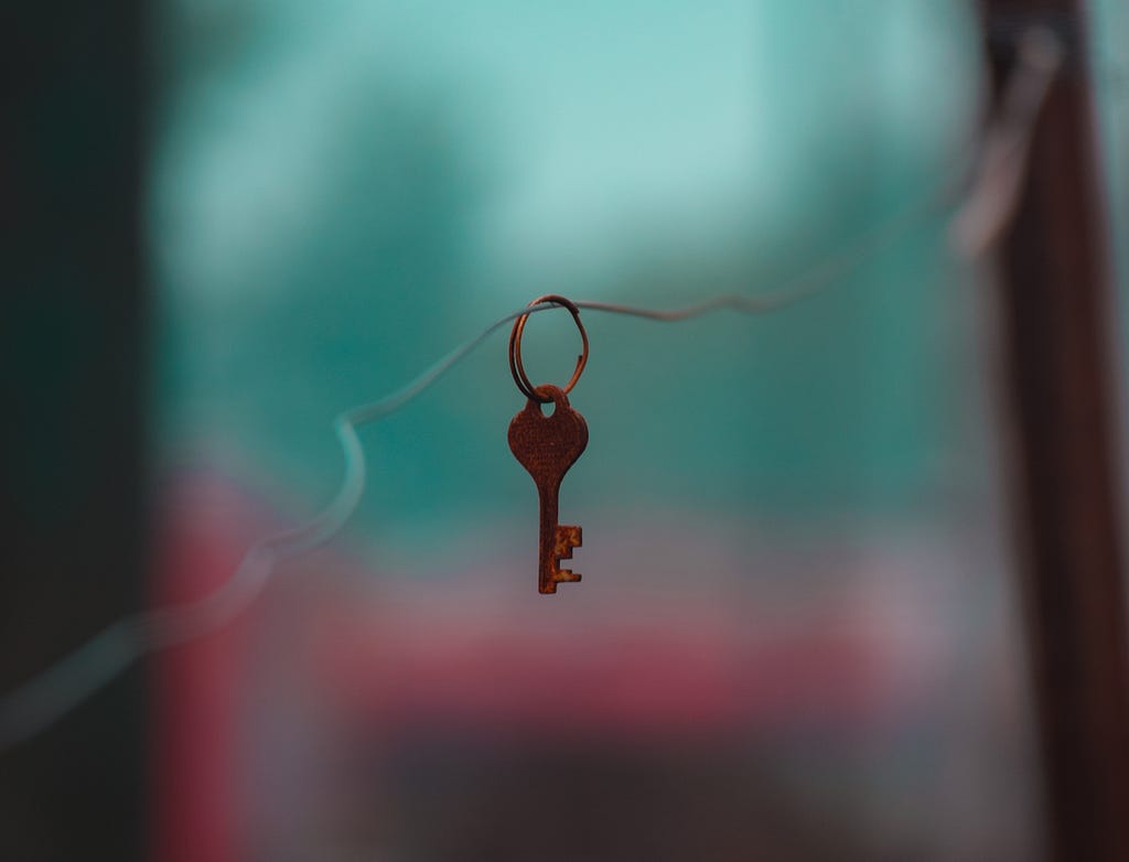 Photograph of a single key on a key chain loop, suspended from a thin, twisted wire passing horizontally through the loop.