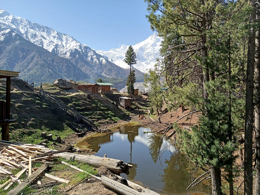 snow-capped mountains and alpine trees of fairy meadows