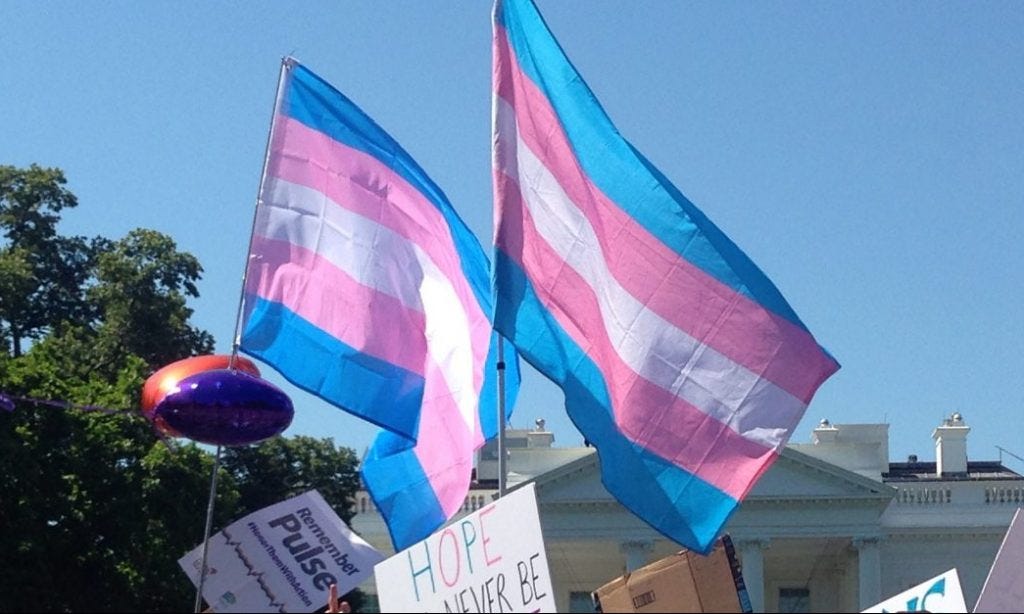 Two trans flags waving in the air