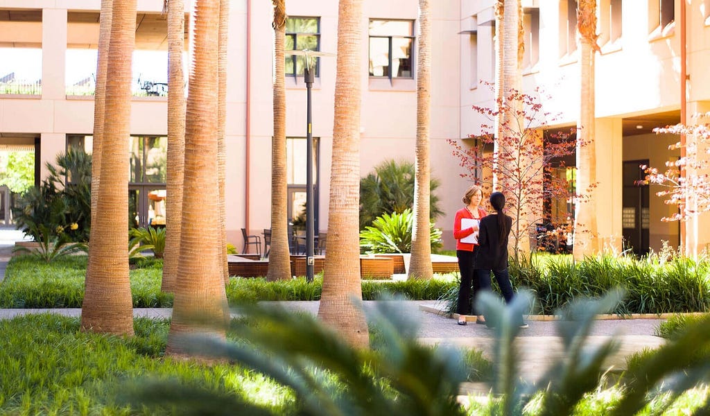 A courtyard full of palm trees with two people in conversation