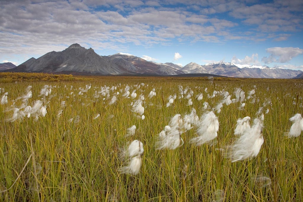 Arctic National Wildlife Refuge