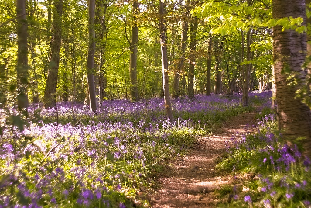 The perfect trail for Shadowing, the first language learning technique in this article.