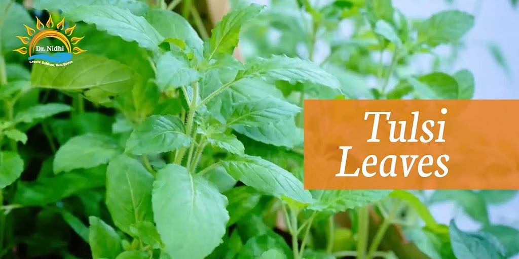 Tulsi Leaves | Natural Remedies for Viral Fever | PHCC | Holistic Healing | Homeopathy | Dr. Nidhi | Natural Remedies |