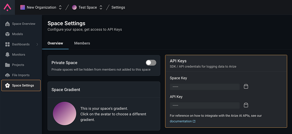 Arize Space Settings Page