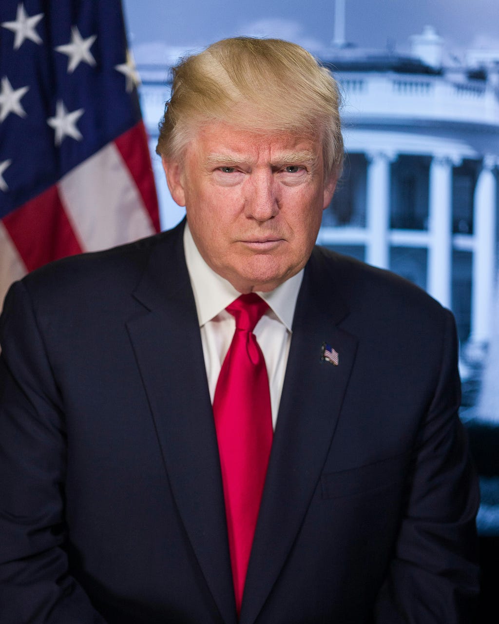 Donald Trump in a professional pose in front of the American flag and The White House