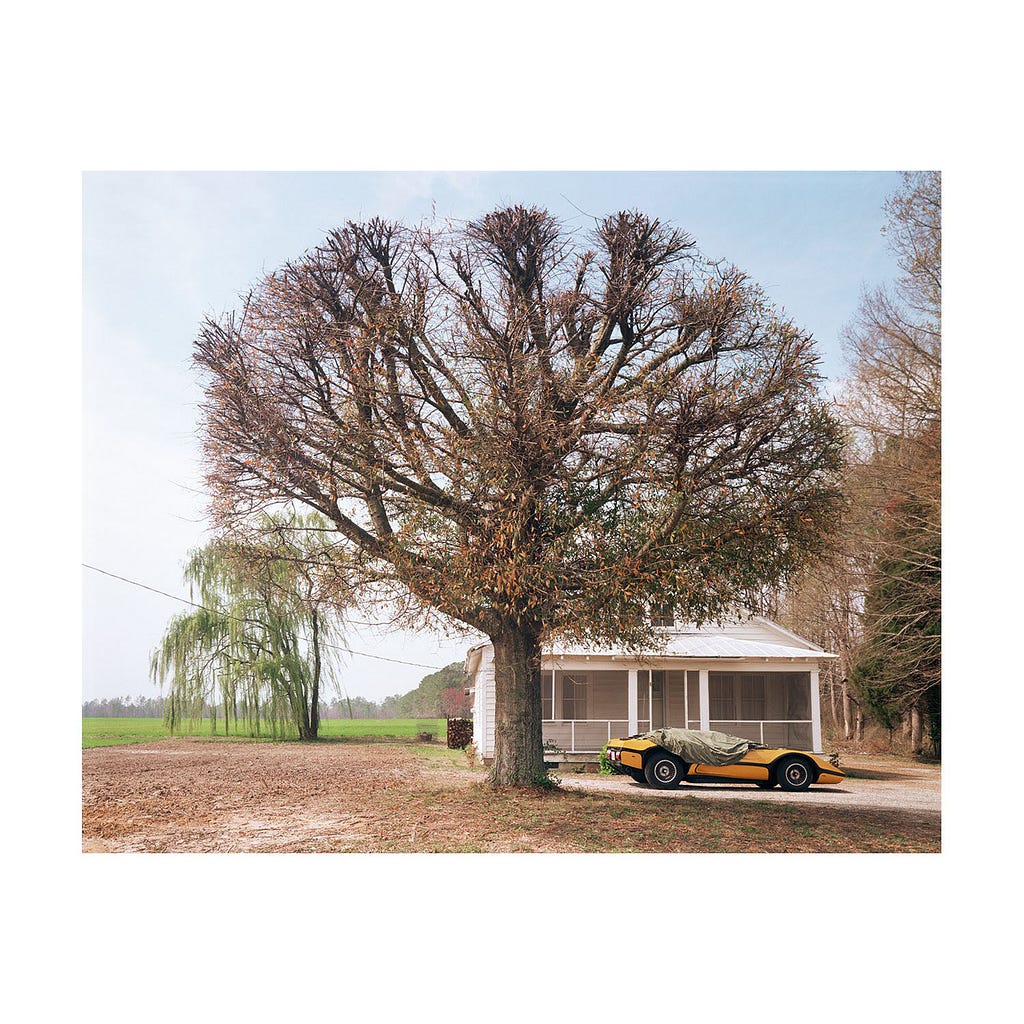 Joel Meyerowitz street phopgraphy