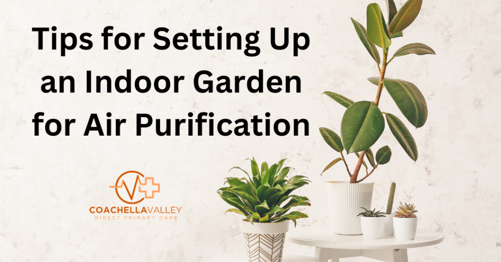 Tips for setting up an indoor garden for air purification
