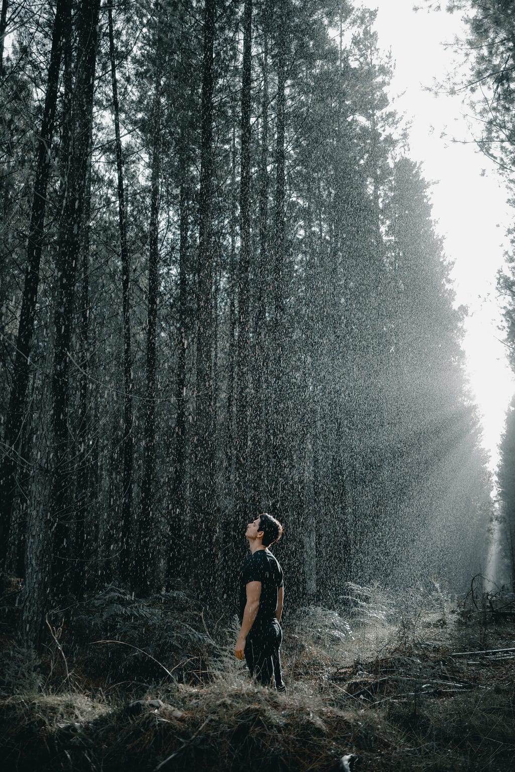 A man standing in the forest, looking up, with a light rain.