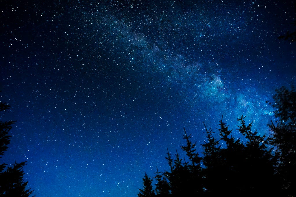 A starry night sky above pine trees