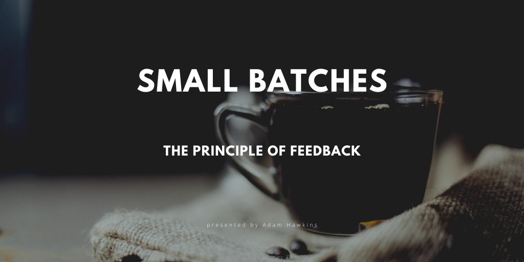 The Principle of Feedback cover