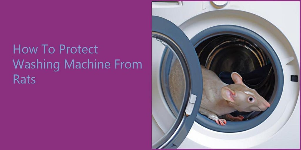 How To Protect Washing Machine From Rats