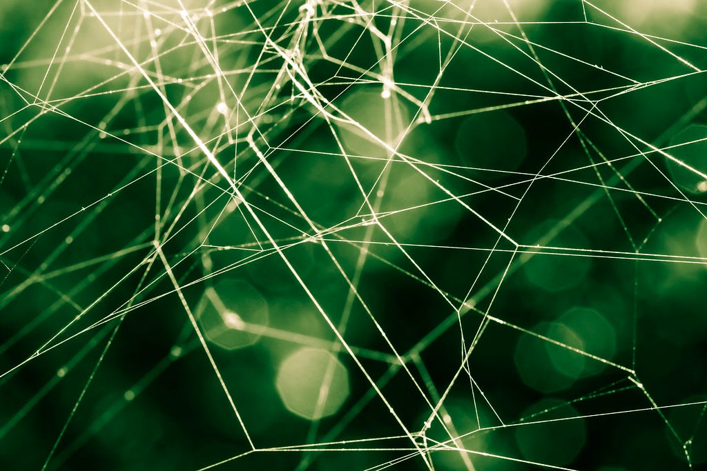 White strands of spider web on a green blurred background
