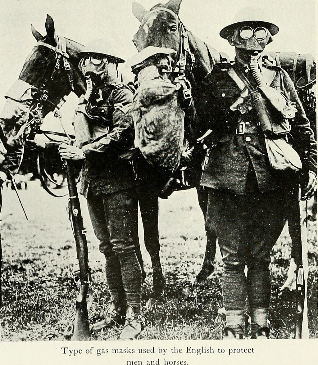 The WWI period of UK history saw frontline animals fitted for gasmasks