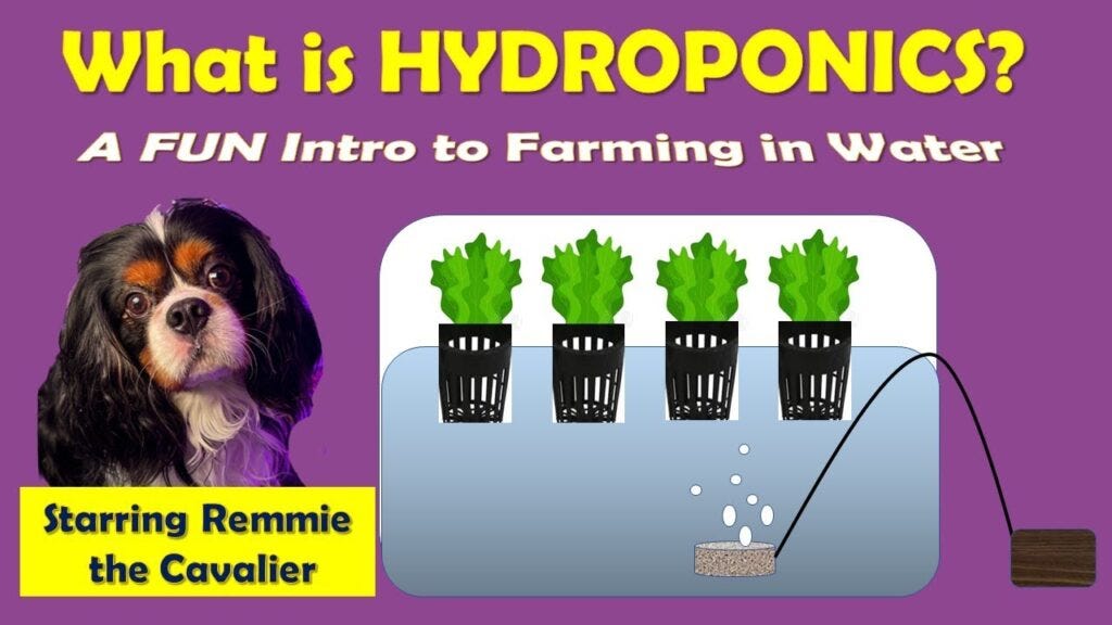 Hydroponic Farming